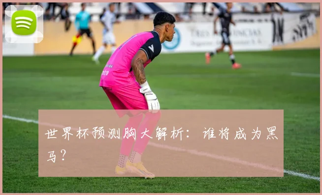 世界杯预测胸大解析：谁将成为黑马？