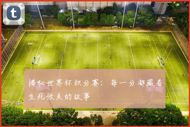 揭秘世界杯积分赛：每一分都藏着生死攸关的故事