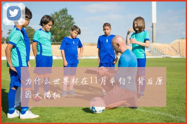 为什么世界杯在11月举行？背后原因大揭秘