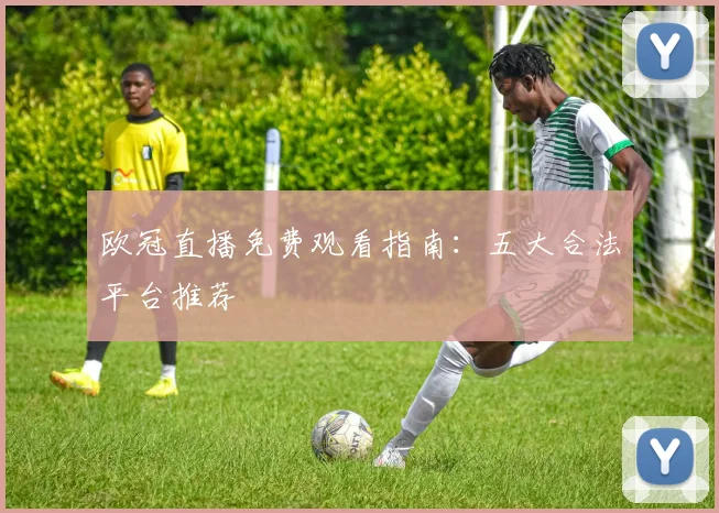 欧冠直播免费观看指南：五大合法平台推荐
