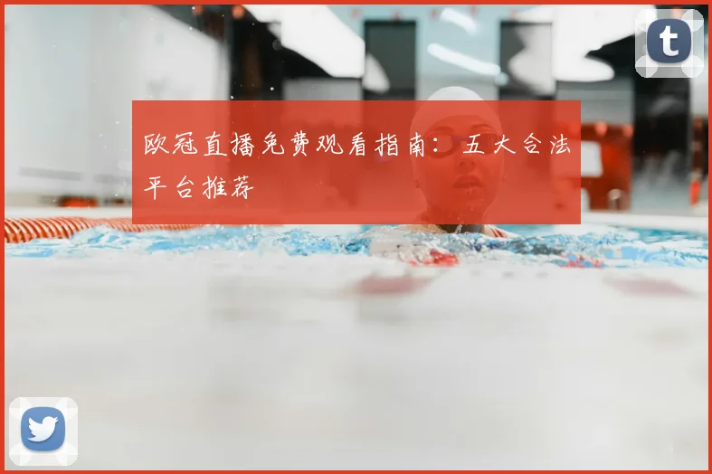 欧冠直播免费观看指南：五大合法平台推荐