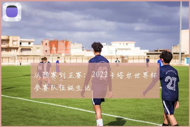 从预赛到正赛:2022卡塔尔世界杯参赛队伍诞生记