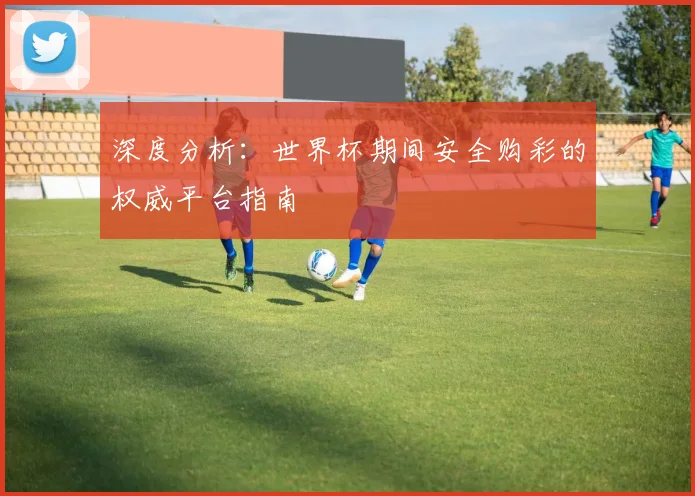 深度分析：世界杯期间安全购彩的权威平台指南