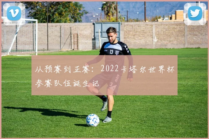 从预赛到正赛:2022卡塔尔世界杯参赛队伍诞生记